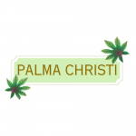Palma Christi